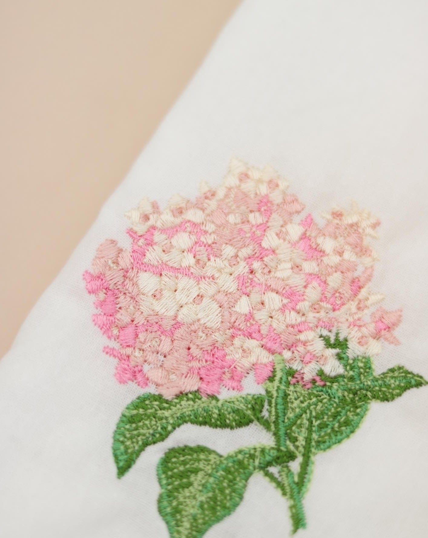 Hydrangea Annabelle